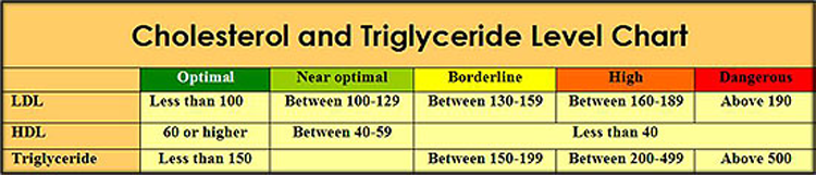 CHOLESTEROL CHART